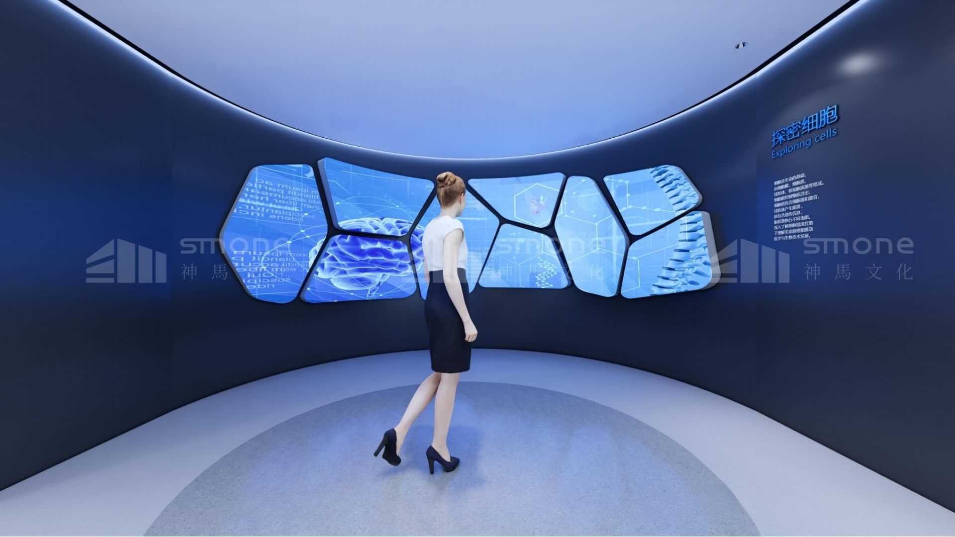 穿越時(shí)空，探秘干細(xì)胞“前世今生”